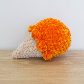 Orange Ice Cream